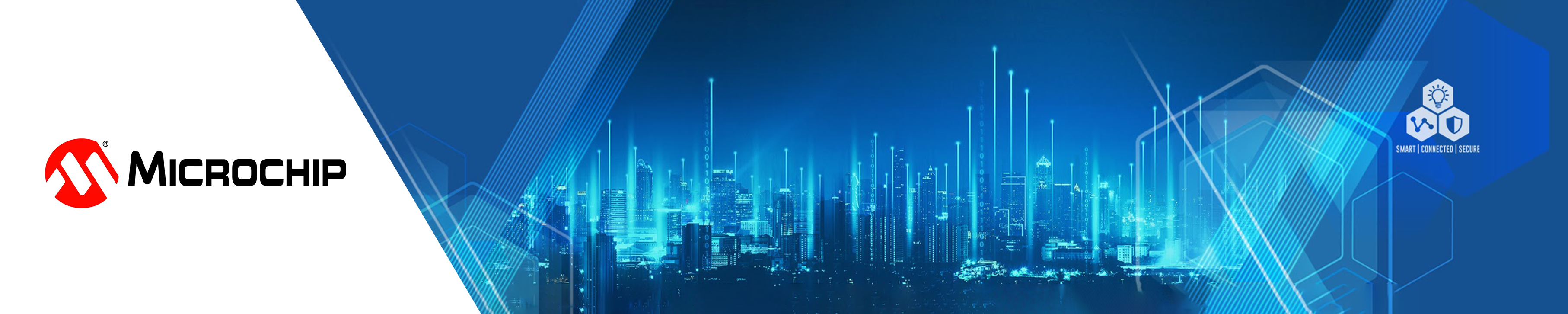 Microchip_TW