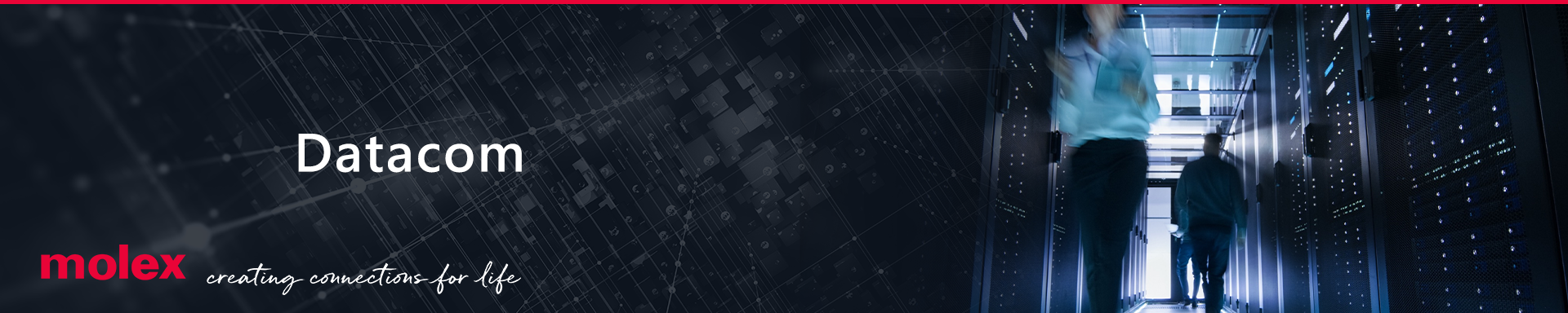 Molex_Datacom_CN